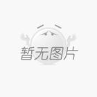 济南机器人产业集群首次集体亮相 济南机器人产业集群首次集体亮相